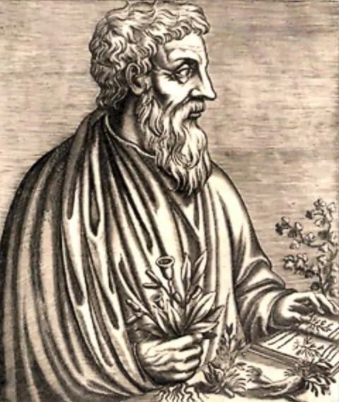 Pedianus Dioskurides