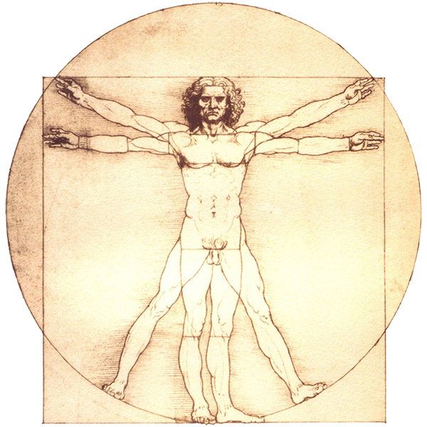 Leonardo da Vinci, der vitruvianischer Mensch (1492)